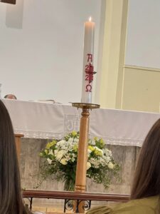 st.bernard&ignatius 10